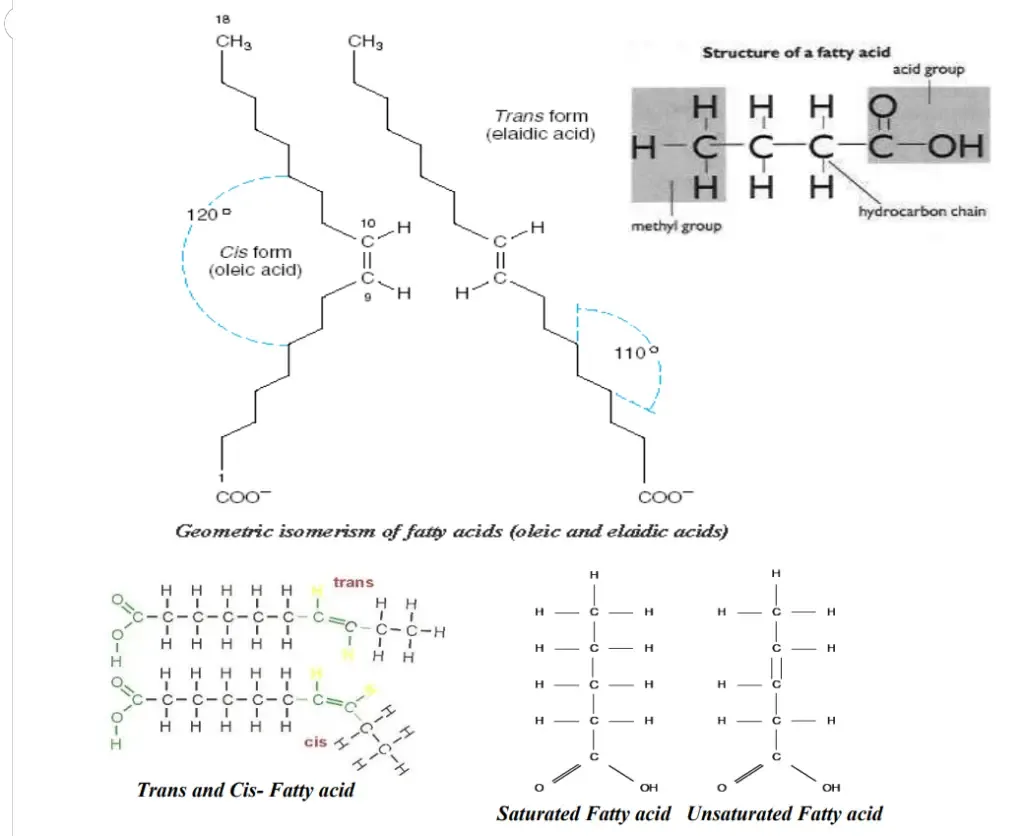 Chemistry of Fatty acids
