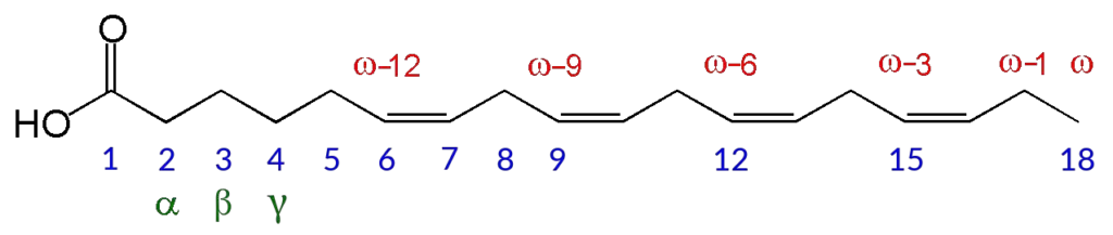 Carbon atom numbering