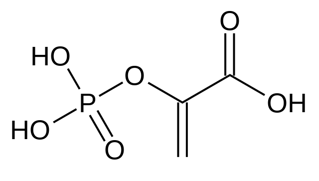 Structure of Phosphoenolpyruvate