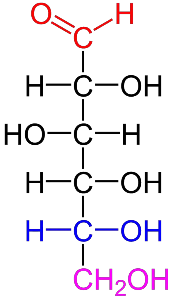 D-glucose is an aldohexose with the formula (C·H2O)6. The red atoms highlight the aldehyde group and the blue atoms highlight the asymmetric center furthest from the aldehyde; because this -OH is on the right of the Fischer projection, this is a D sugar.