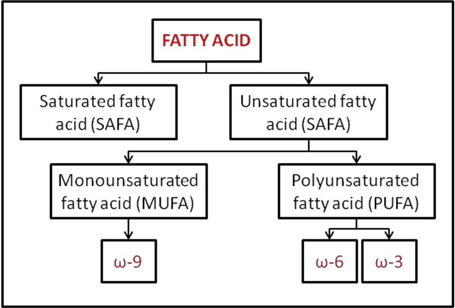 Saturated and unsaturated fatty acids