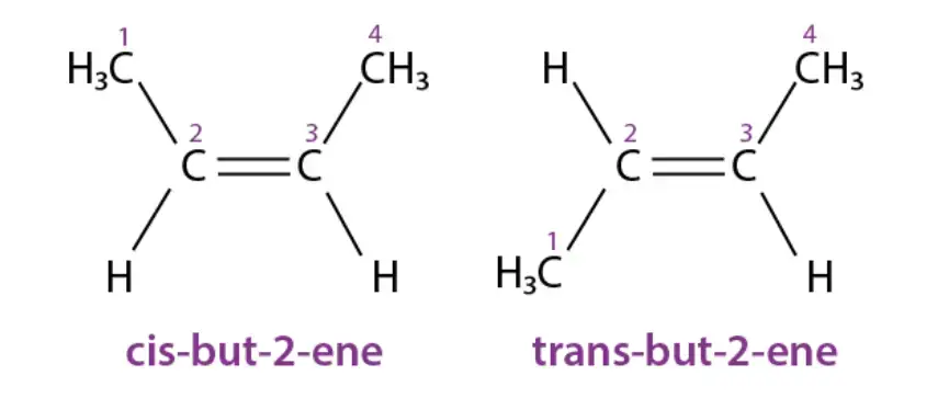 Cis and Trans Isomers - Definition, Properties, Identification ...