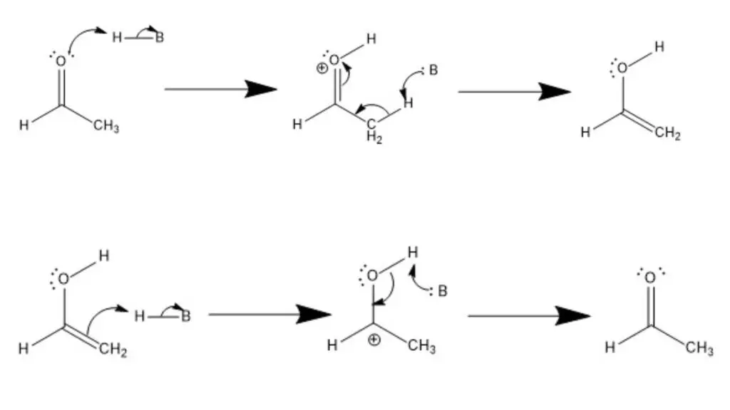 Keto Enol Tautomerization - Definition, Mechanism, Examples - Biology ...