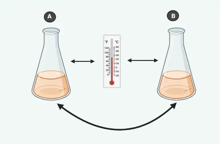 Zeroth law of thermodynamics