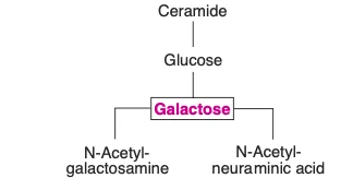 Glycolipids