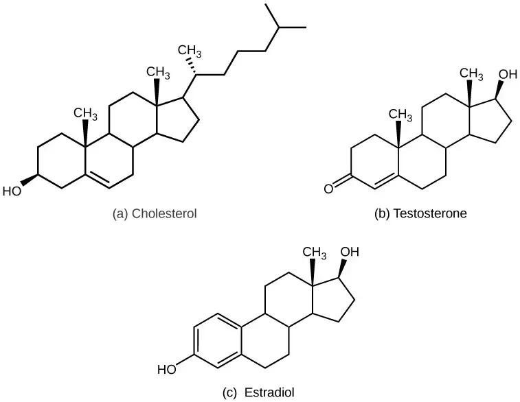 The structures shown here represent (a) cholesterol, plus the steroid hormones (b) testosterone and (c) estradiol. | Image credit: opentextbc.ca