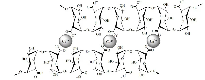  Interaction through insertion of Ca2+ ions between the unesterified carboxyl groups of the galacturonosyl residues of two HG chains