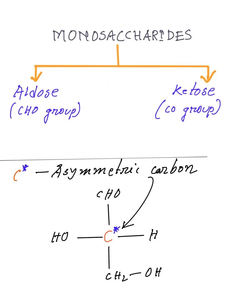 Classifications of Monosaccharides based on the type of carbonyl group