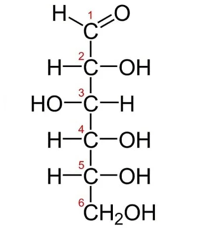 Structure of Monosaccharides