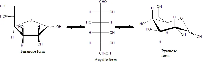 Conversion between the furanose, acyclic, and pyranose forms of d-glucose