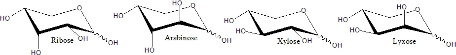 Pyranose forms of some pentose sugars