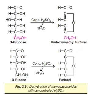 Monosaccharides