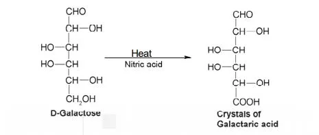 Mucic acid test 