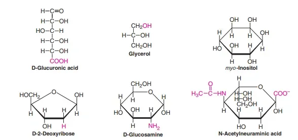 Derivatives Of Monosaccharides