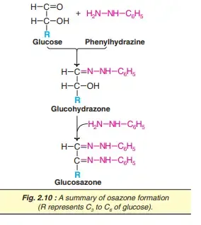 Glycosides
