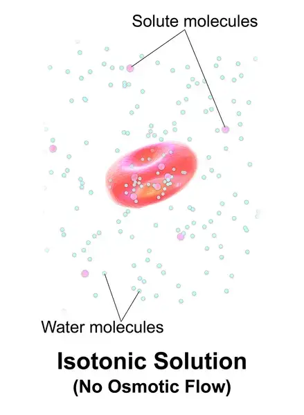 Isotonic Solutions