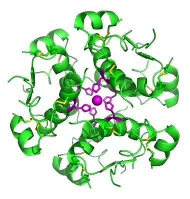 The Insulin Hormone is a Good Example of Quaternary Structure. Figure By: Isaac Yonemoto