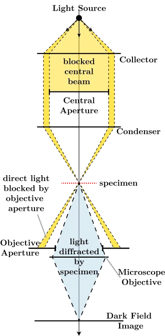  Light Path of Darkfield Microscope 