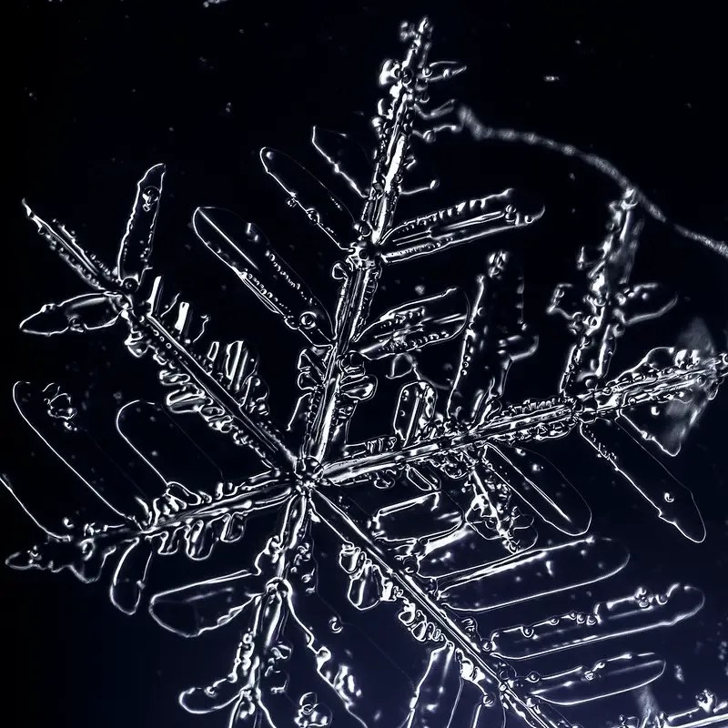 Darkfield Microscope Images – View of a Snow Flake taken with darkfield microscopy. Imaging provided by Michael Peres, Rochester Institute of Technology, NY USA.