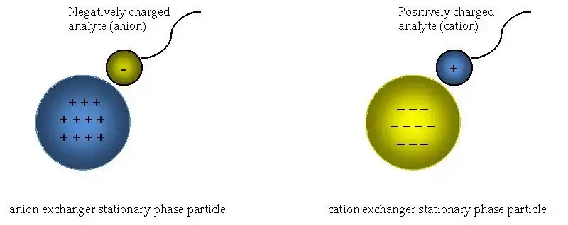 Ion exchange mechanism