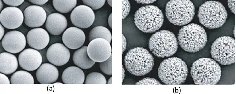 (a) Non-porous beads (b) Porous beads