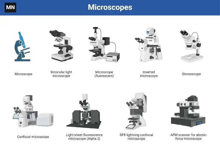 Parts of a Microscope and Their Functions 2 diagram microscope