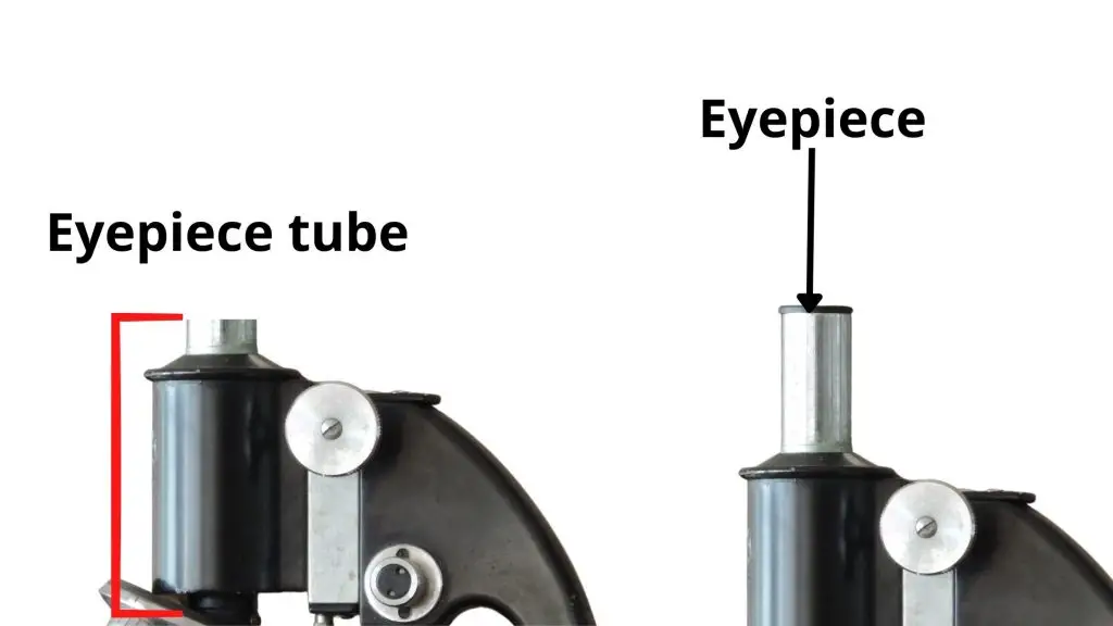 diagram of parts of a microscope