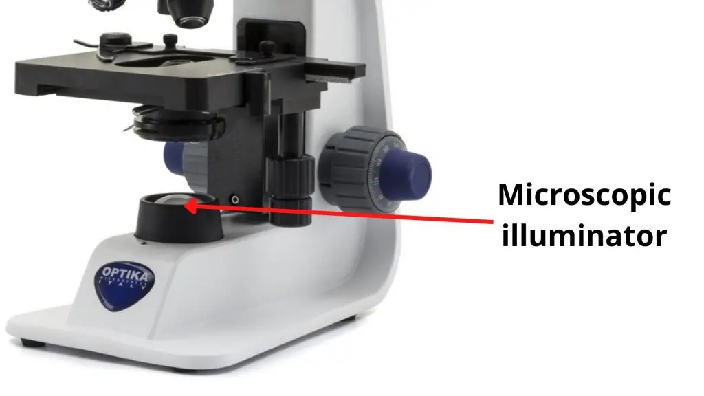 Microscopic illuminator or Built-In Light Source