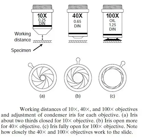 Diaphragm