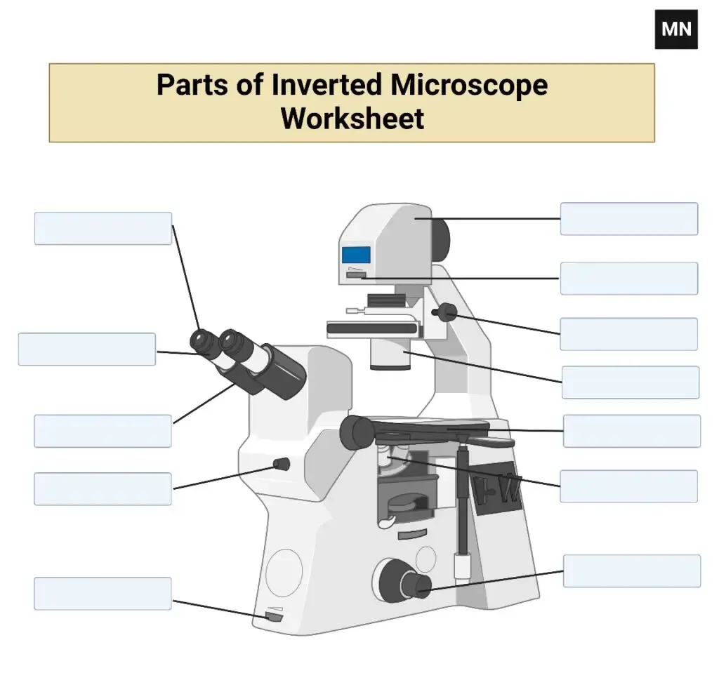 Parts of a Microscope and Their Functions 7 Inverted Microscope Worksheet