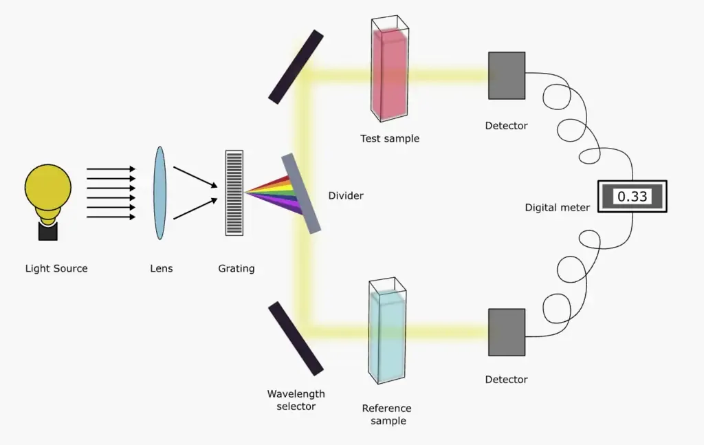 Double beam UV-Visible spectrophotometer