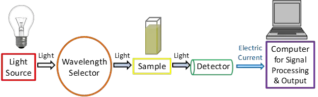 A simplified schematic of the main components in a UV-Vis spectrophotometer. Credit: Dr. Justin Tom.
