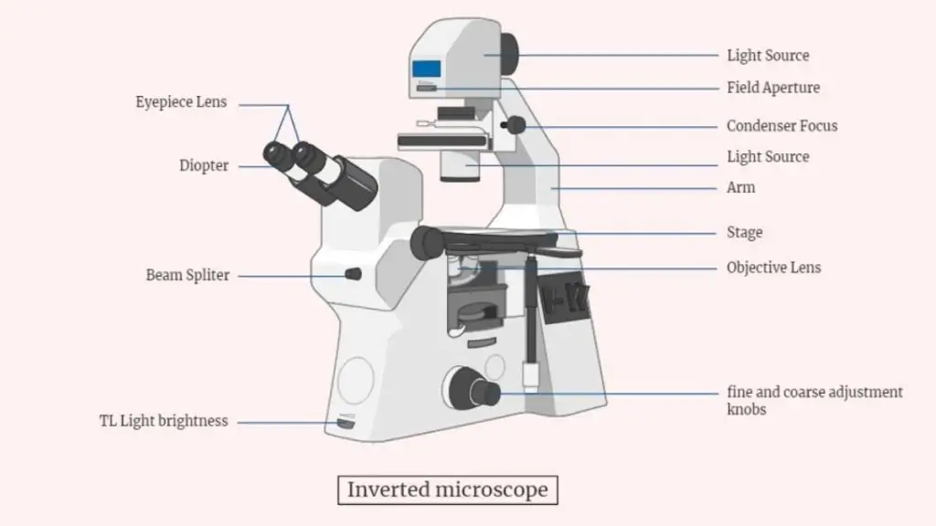 Parts of Inverted Microscope