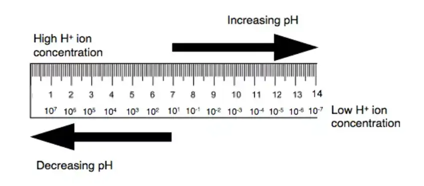 pH meter