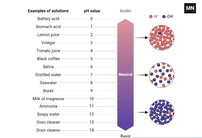 pH Scale