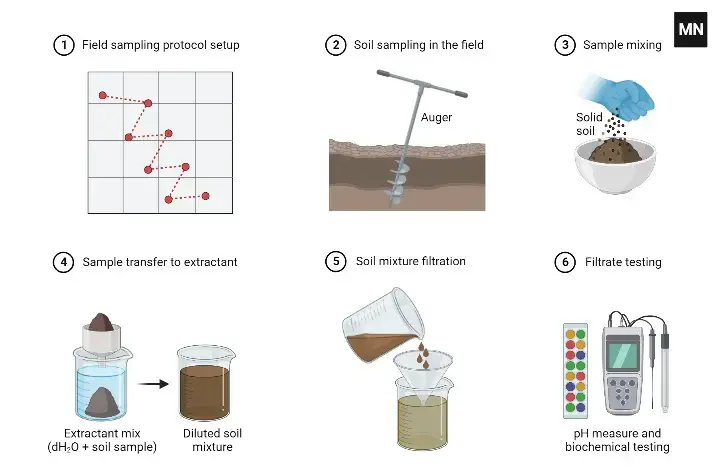 How to test ph of soil with ph meter? – How to use a ph meter for soil?