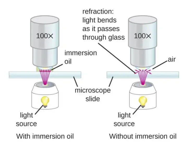 Enhancements of Brightfield Microscope
