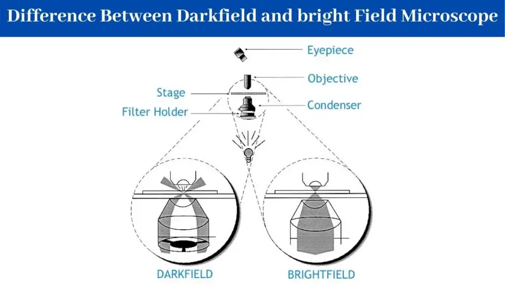 Difference between dark field and bright field Microscope