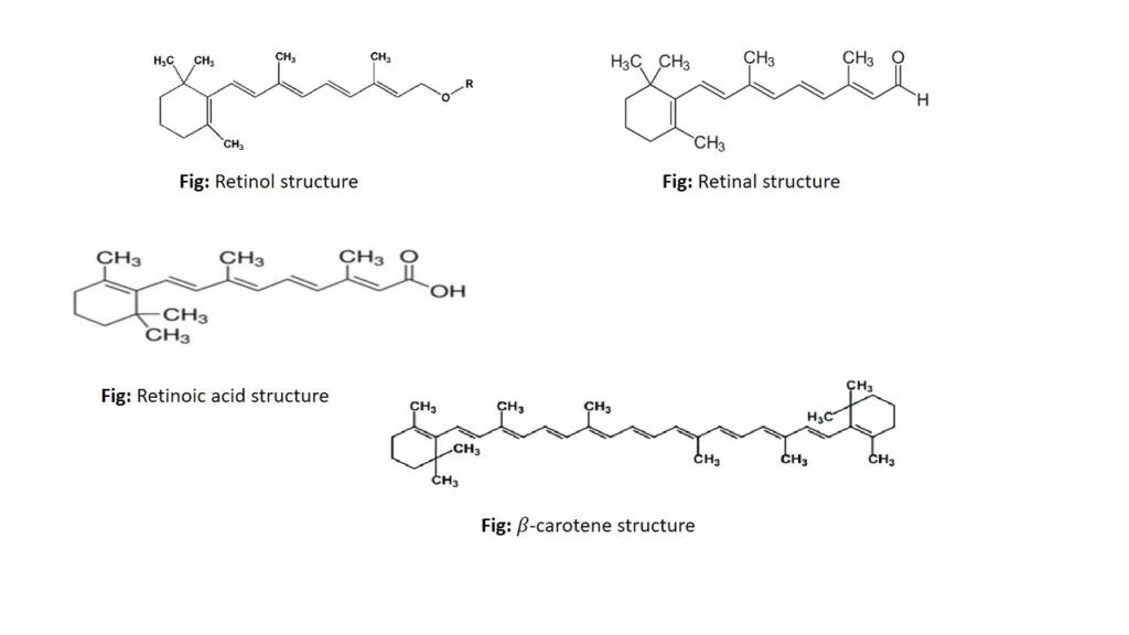 Structure of vitamin A
