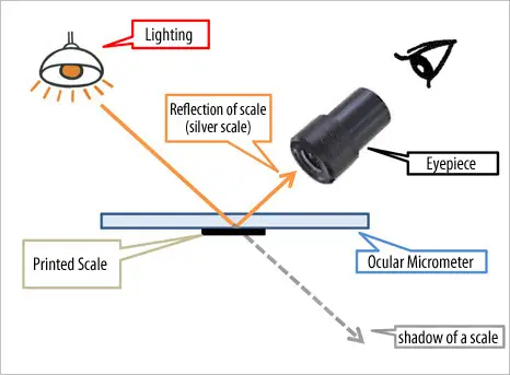 How to check the front and back side of an Ocular Micrometer