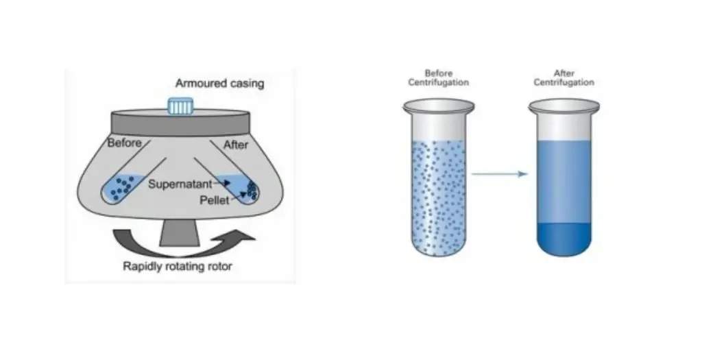 Sedimentation Principle of Centrifuge