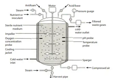 Different Parts of Bioreactor