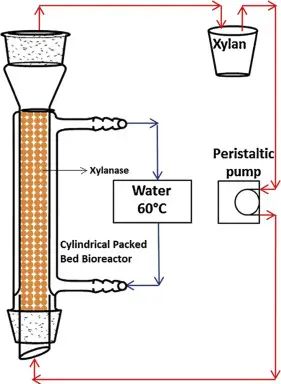 Packed bed fermentor