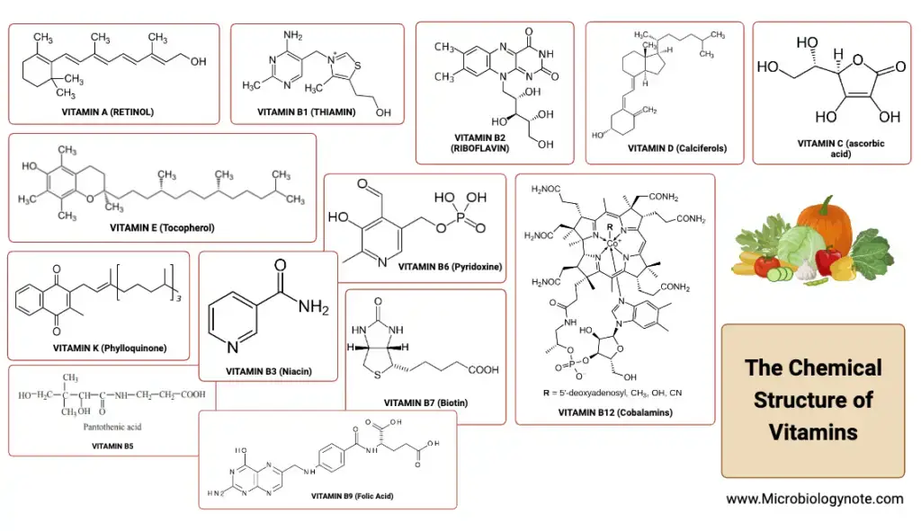 The Chemical Structure of Vitamins