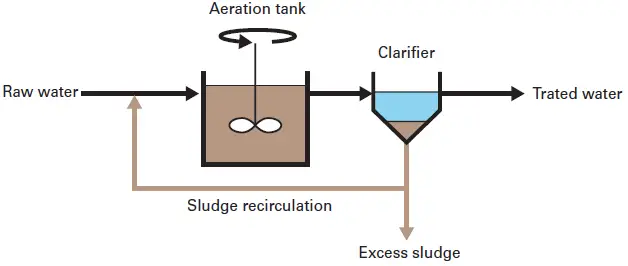 Activated sludge bioreactor 