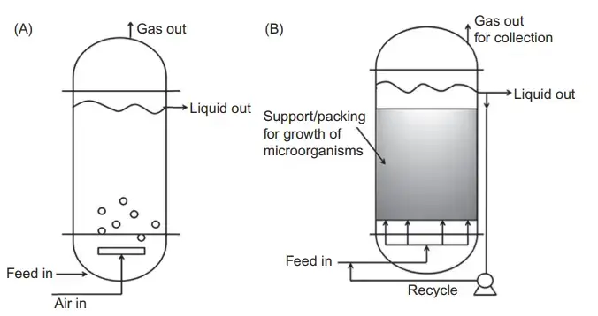 (A) Aerobic reactors and (B) anaerobic reactors.