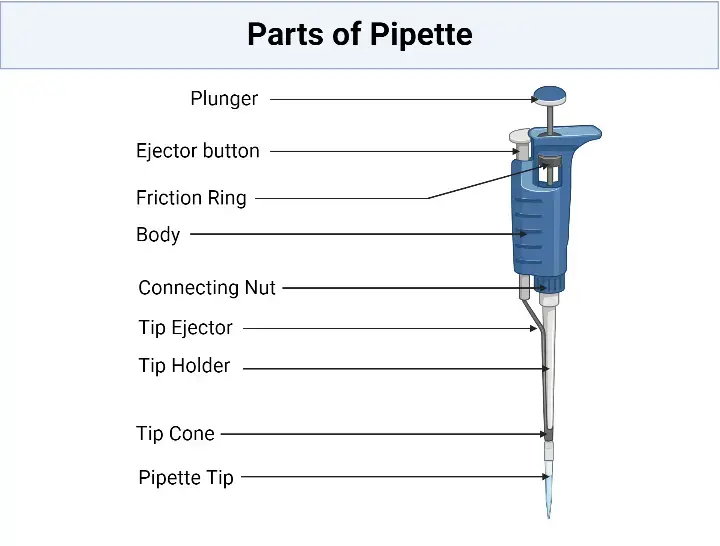 Parts of Pipette