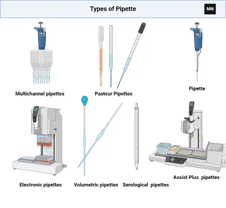 Types of Pipette