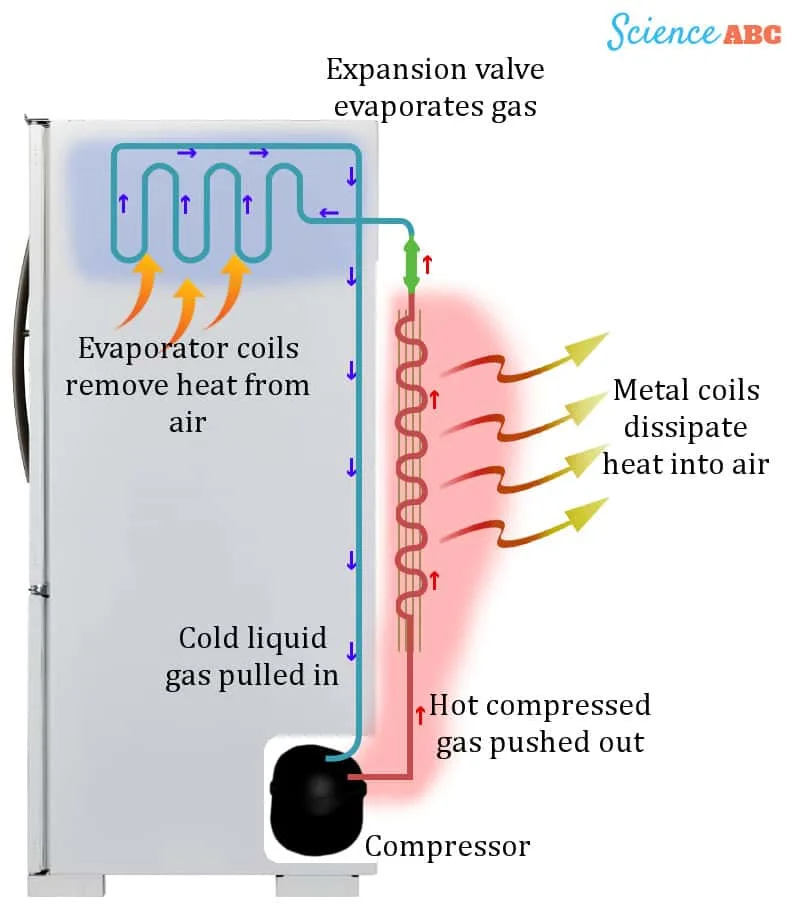Parts/Components of Laboratory Refrigerators and Freezers