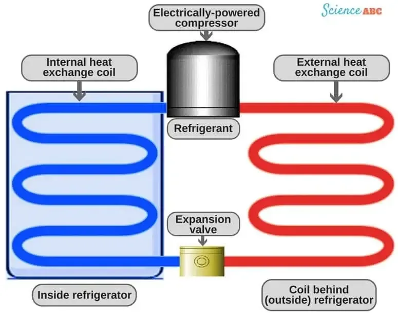 Parts/Components of Laboratory Refrigerators and Freezers 